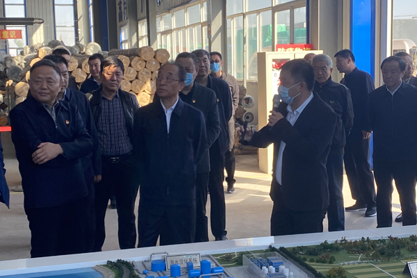 省人大常委会副主任杨忠林及省人大调研组领导莅临Kaiyun环保产业园考察调研工作